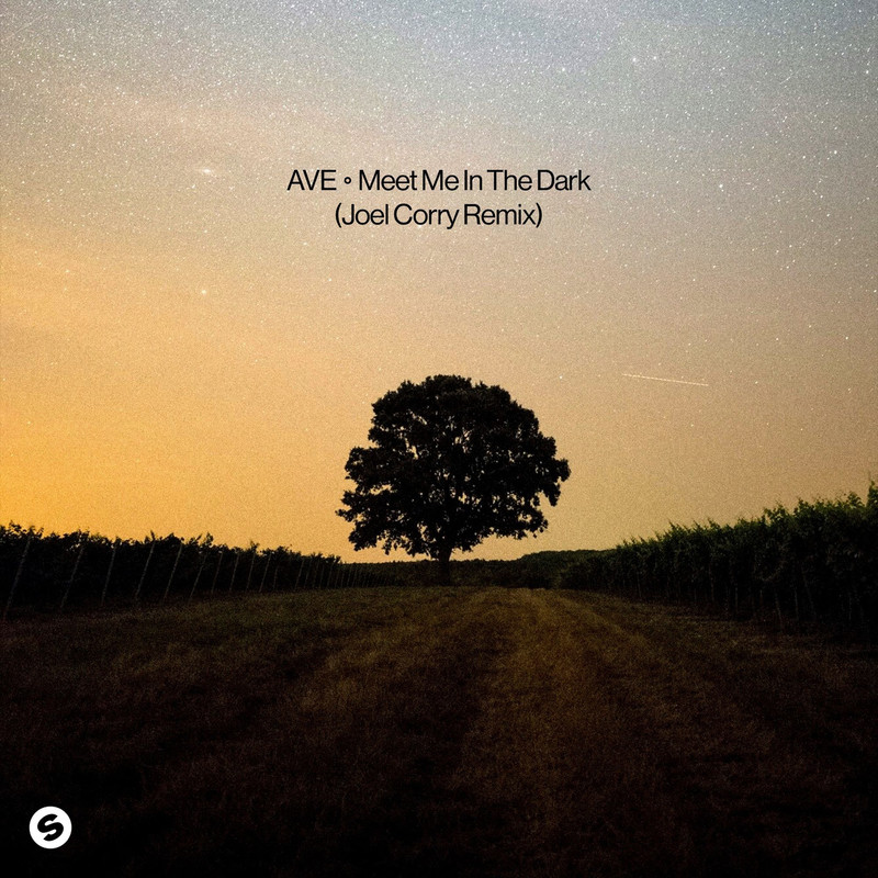 Ave - Meet Me In The Dark (Joel Corry Extended Remix)