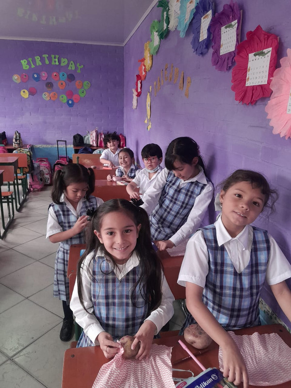 Clases Particulares (25)