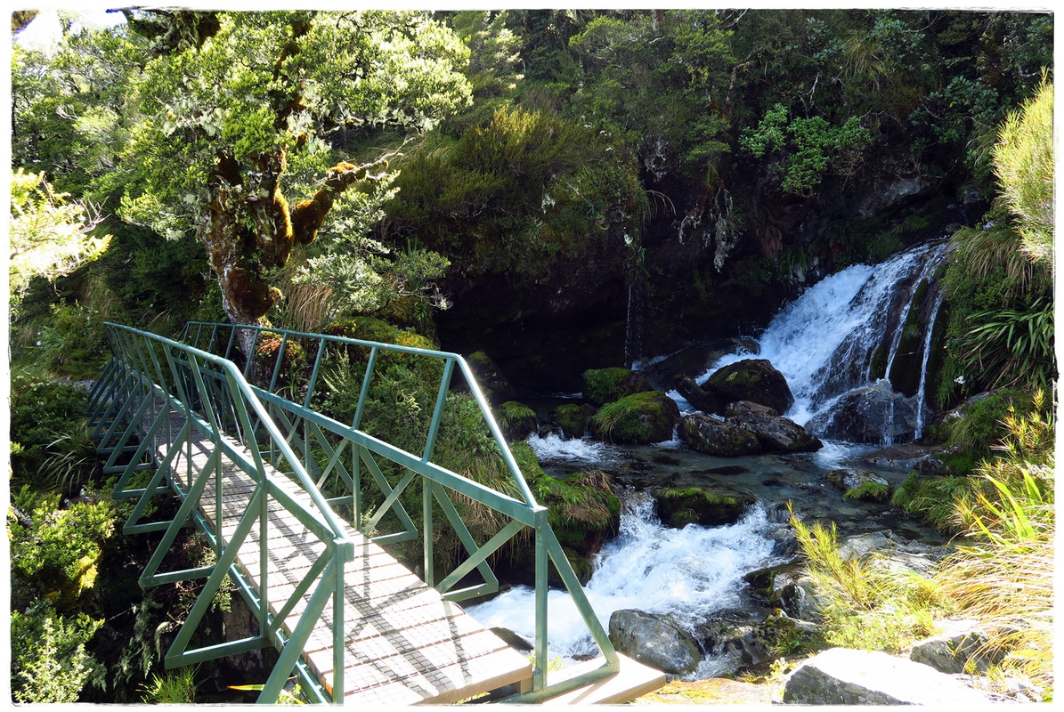 Mt Aspiring NP / Fiordland NP: Routeburn Track (diciembre 2019) - Escapadas y rutas por la Nueva Zelanda menos conocida (25)