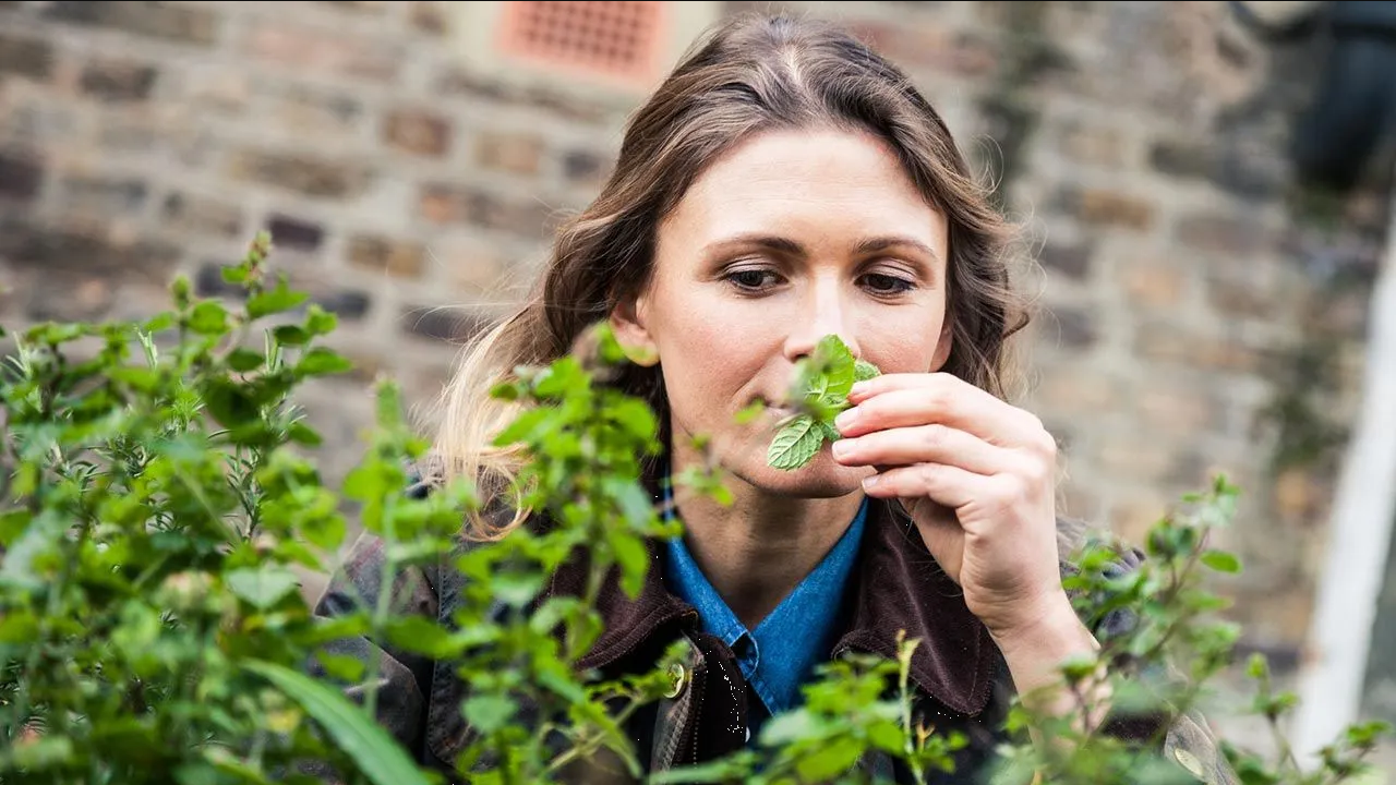 ¿Qué planta es buena para los ojos? Así las puedes utilizar