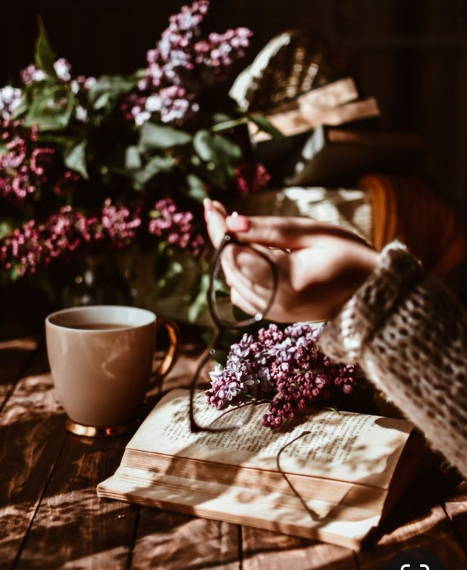 Screenshot_20240203_193603_Pinterest