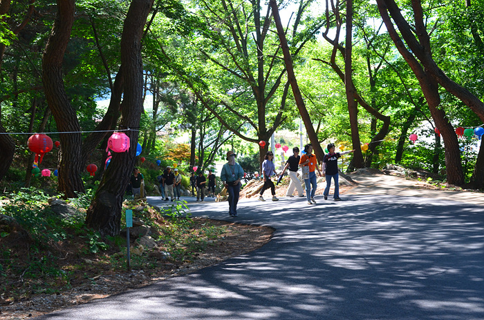 DSC-0327