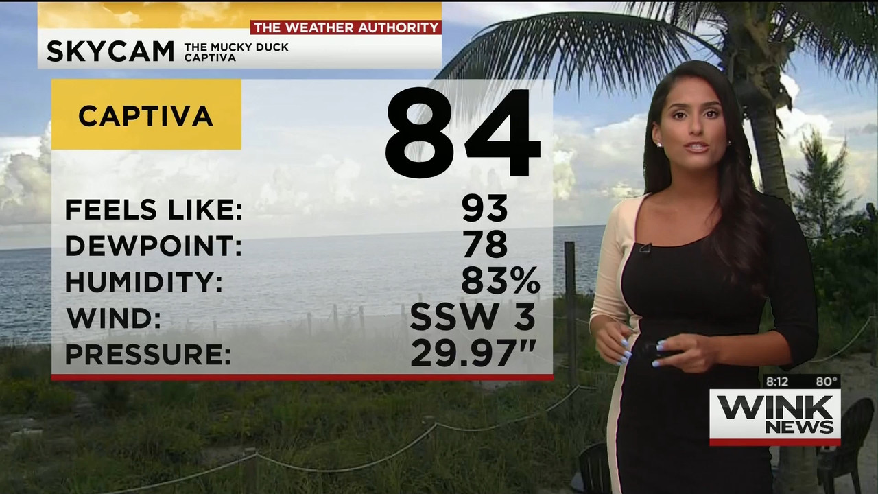 08.16 - 11.00.00 - WINK News @ 6 00AM Sunday..ts_snapshot_00.13.46.943