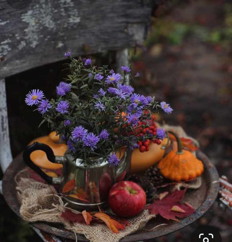 Screenshot_20231128_181050_Pinterest