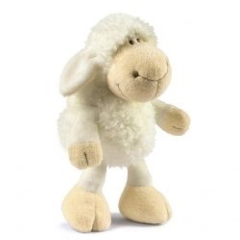 nici sheep