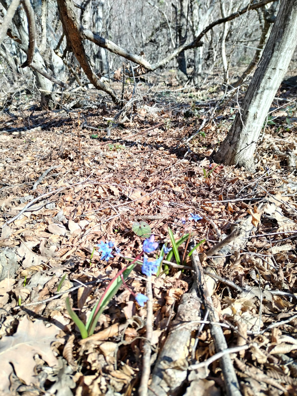 IMG_20240224_143326_edit_83574092354993