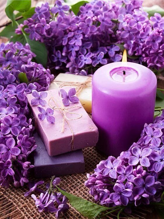 purplecandles.jpg