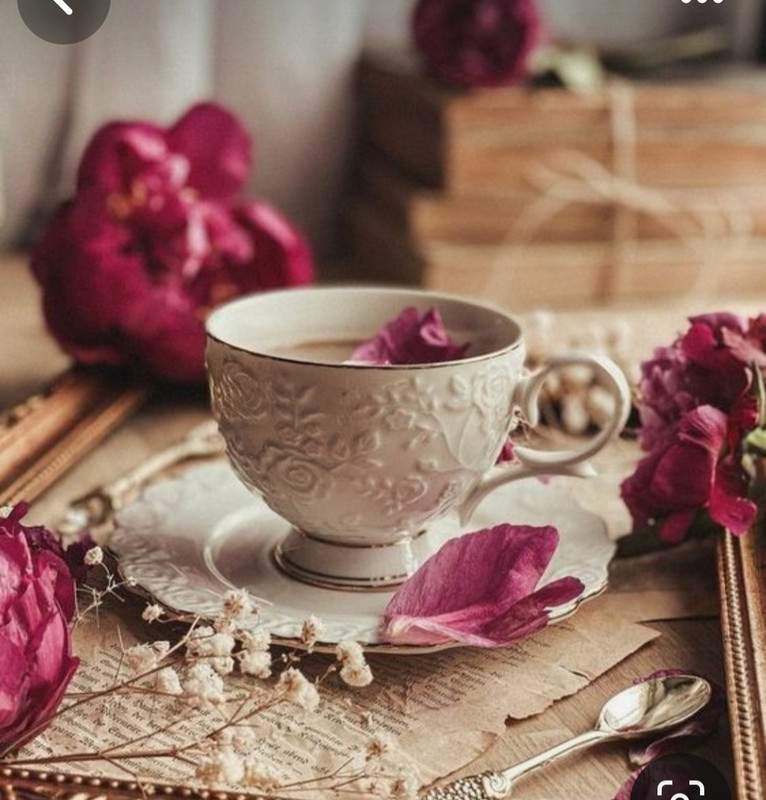 Screenshot_20240118_224719_Pinterest