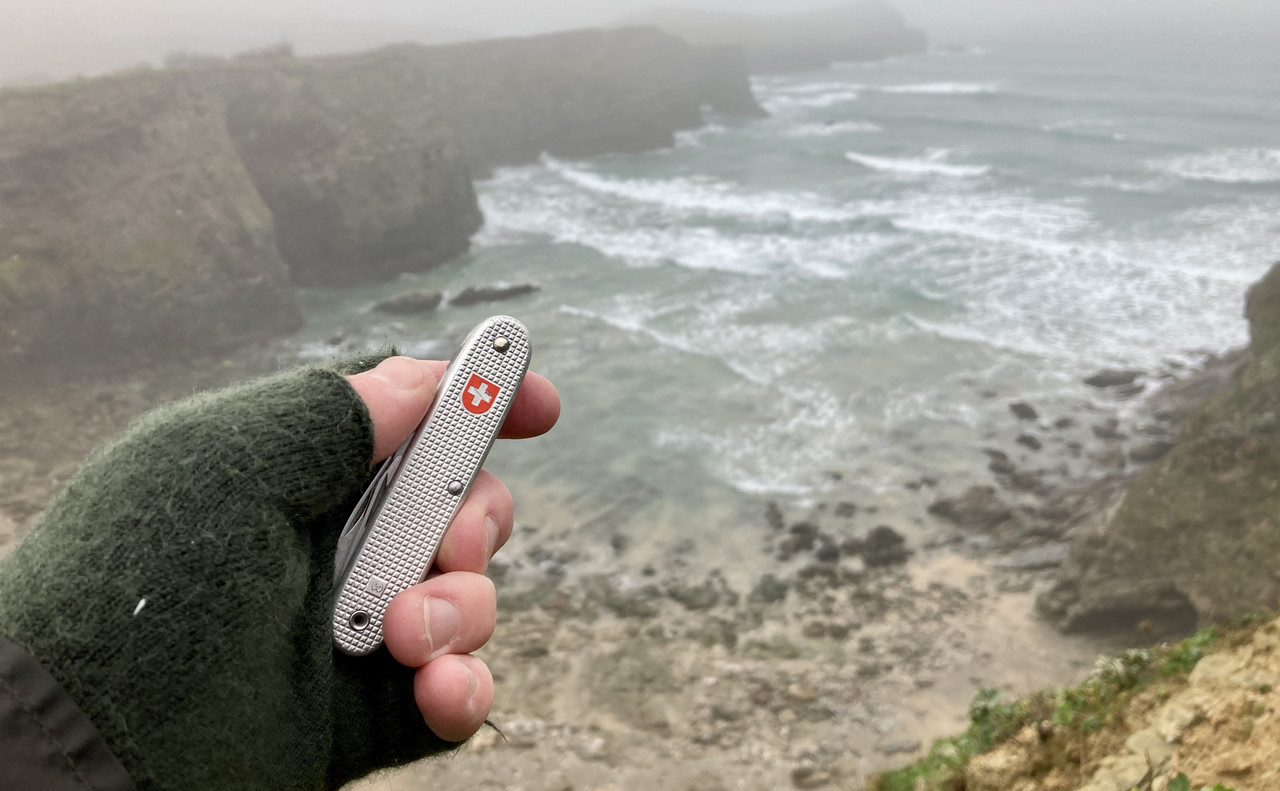 C4F82E2A-213D-4108-935D-B62D706C1BCC