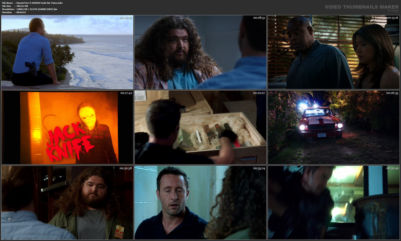 Hawaii Five-O S05E06 Fools Die Twice.mkv