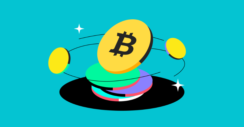 article content image