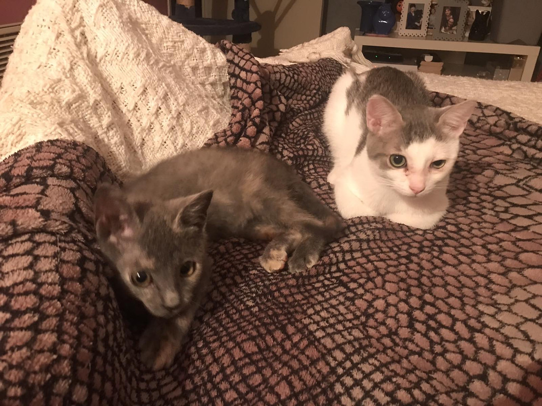 3BE81F3F-EBB0-4876-B518-AFDD69FB1822