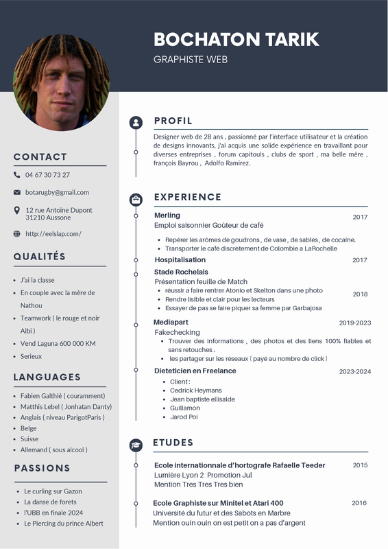 Blue-and-Gray-Simple-Professional-CV-Res