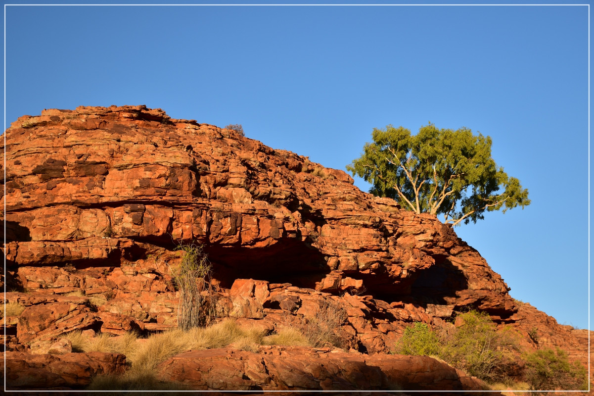 Red Center - Australia (I): toma de contacto (36)