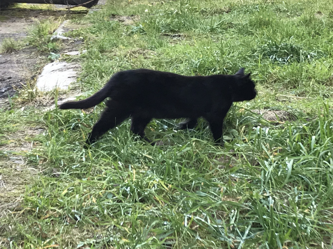 4D440F7C-0B9D-48A3-8337-8D7DAE2C2530