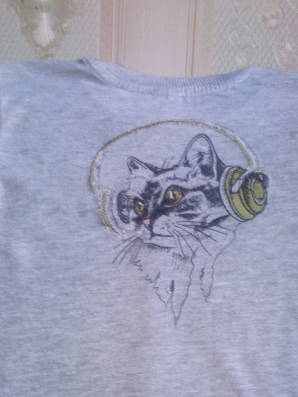 кот в наушниках