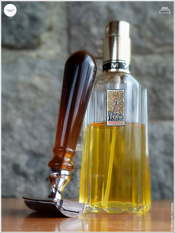 SOTD20231231_Maestri