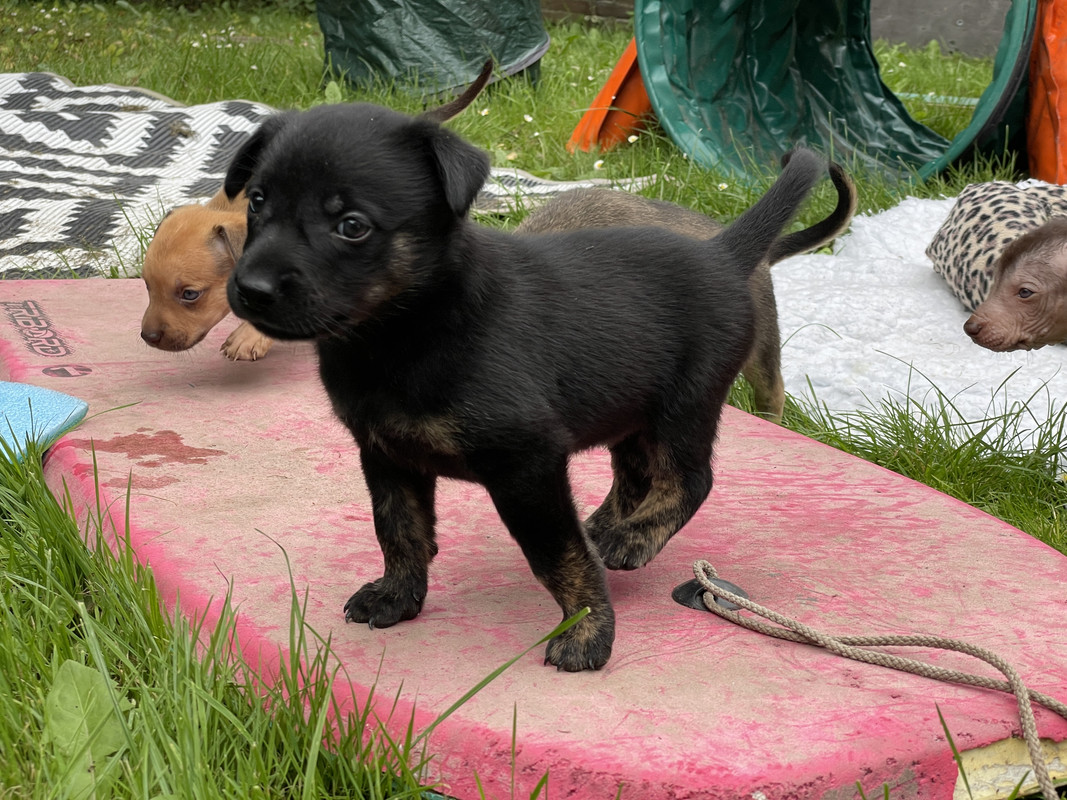 1B797158-2533-4722-9449-642EDC7B484D