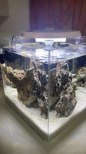 B6A33F0F-86D9-4518-9E08-3CF2D29020D0