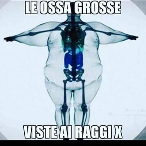 13398477_995400003888956_2002039905_n