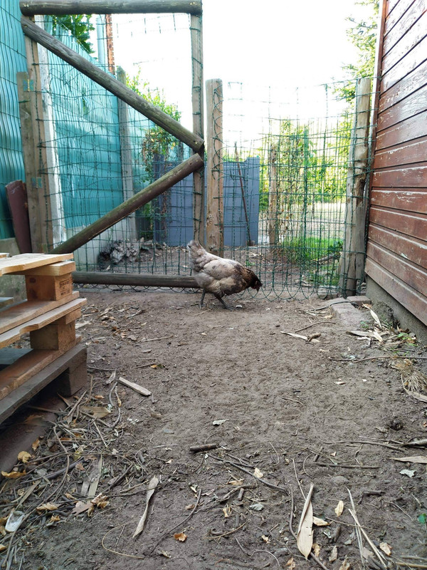 received_320052492394583