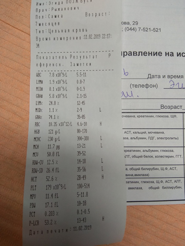 анализ крови