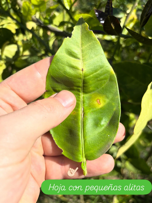 E2F43ECC-8532-4987-9F6B-8DBAB2ED2972