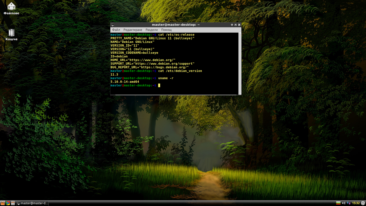 Debian-11-lxde.png