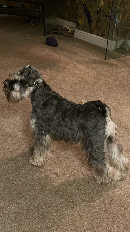 A71F21CF-A92F-4817-9A07-5C27F2F74E8C