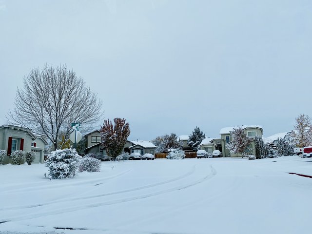 [Image: DDD0-CB21-7263-4519-9-E99-E6-BA12-E39-CEC.jpg]