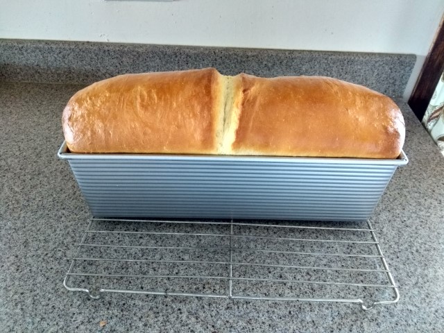 IMG_20240307_151902903_HDR (Small)