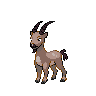 Stantler-Forma-Italia.png