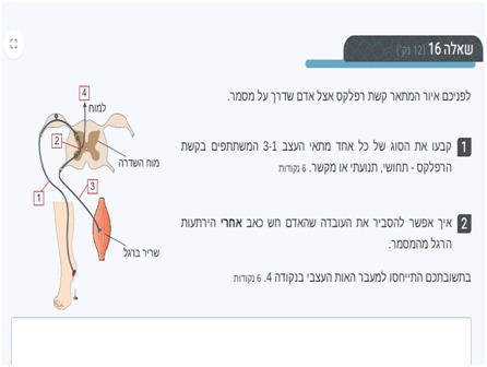 WhatsApp Image 2021-02-11 at 3.56.54 PM