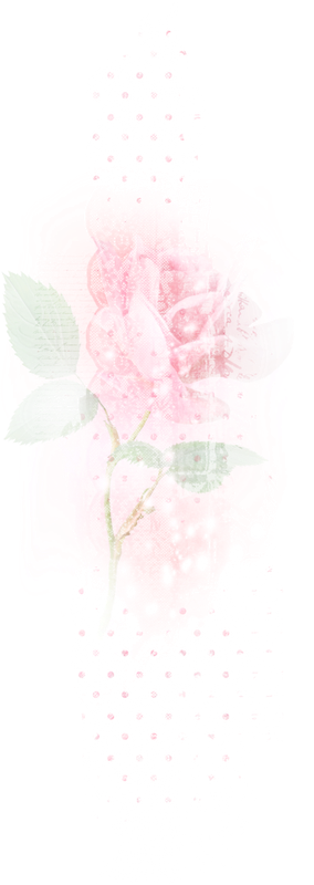 Rose21