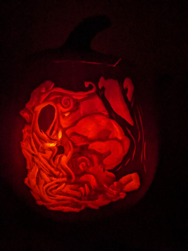 PXL_20231029_033240287