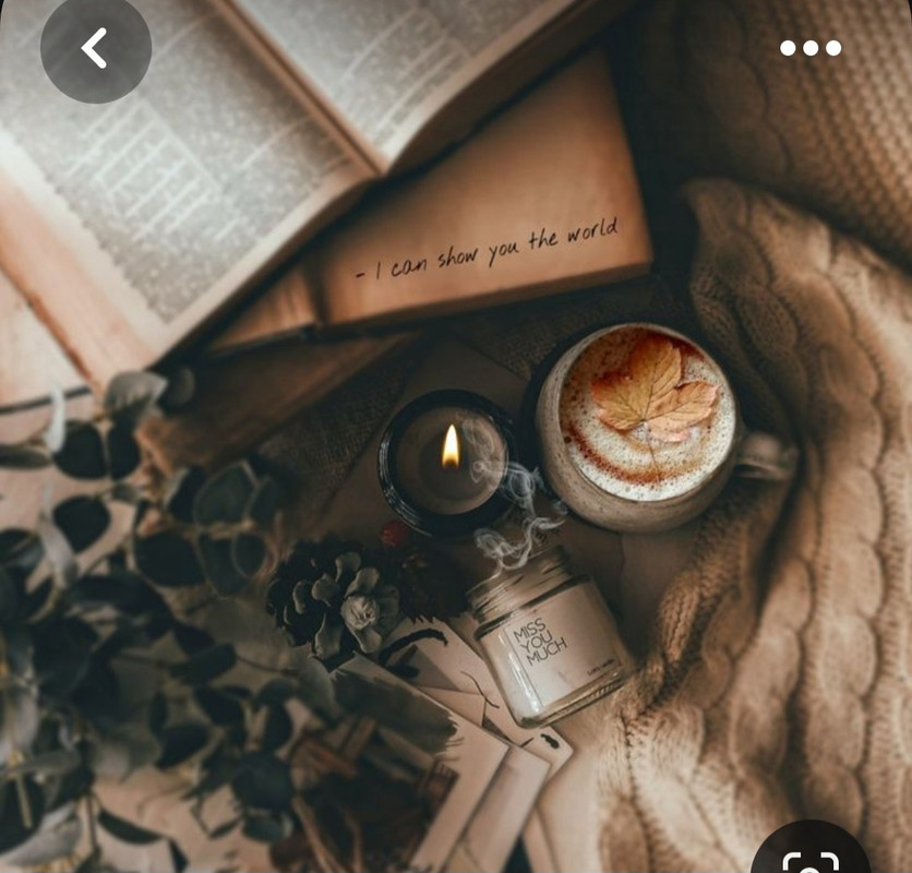 Screenshot_20230616_141733_Pinterest