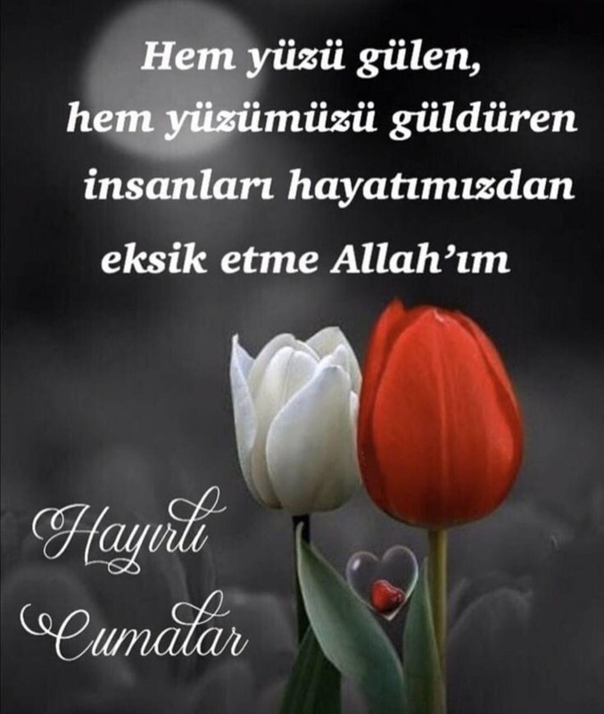 resim