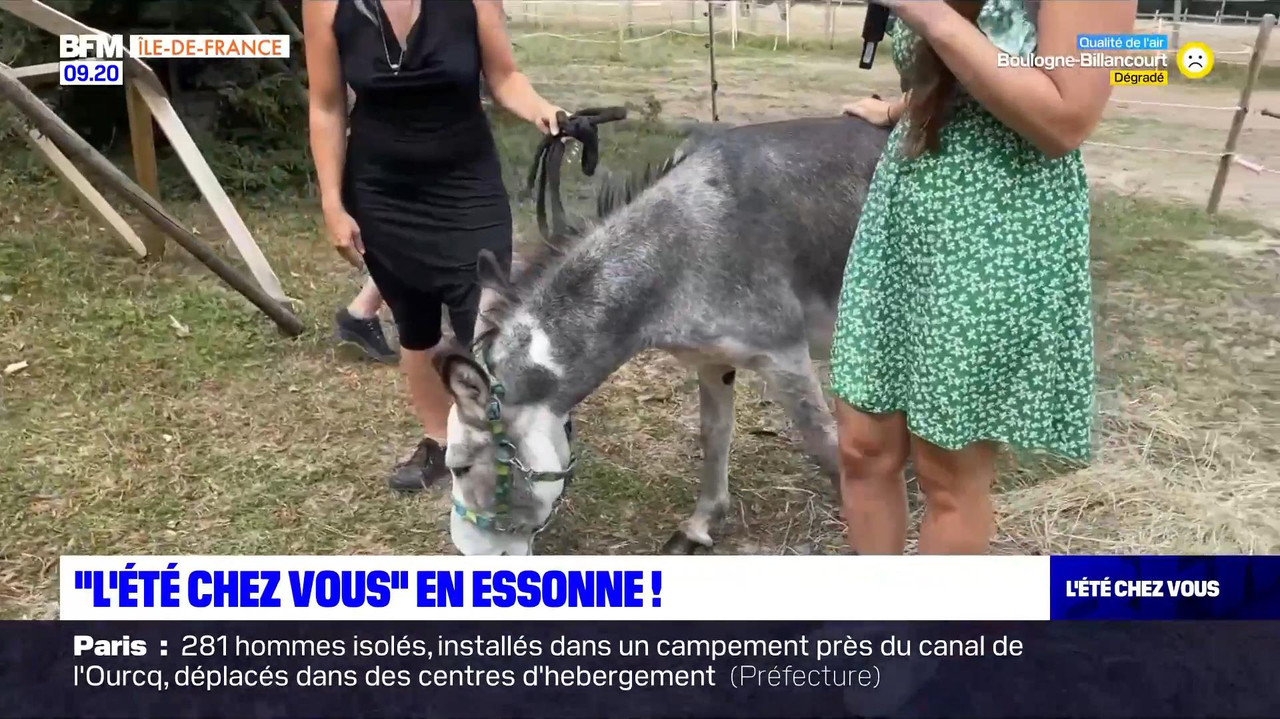 vlc-record-2022-08-13-16h22m53s-08.13 - 07.55.51-1.m4v-.mp4_snapshot_05.09_[2022.08.13_17.04.53]