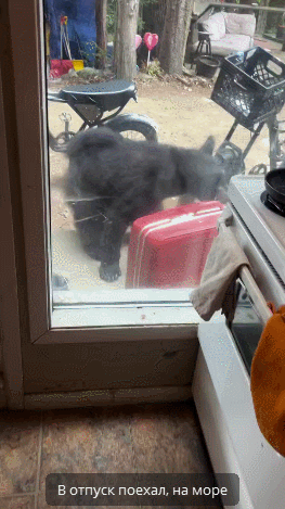 GIF-19-06-2025-14-11-51.gif
