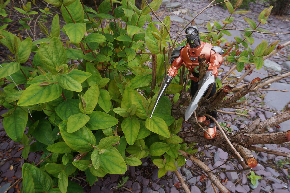 Toxic robot pruning trees and bushes. 04184-FE3-09-F1-4541-941-F-AB8-C4837-E76-B