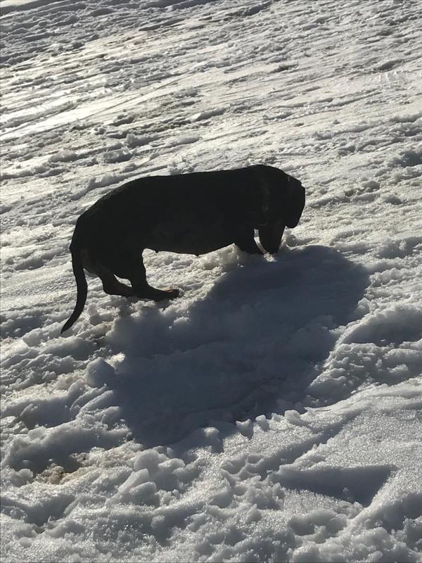 [Image: IMG-20230326-WA0007.jpg]