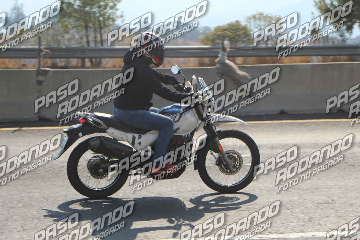 IMG 7206 wm 15832723 3 watermarked — Postimages
