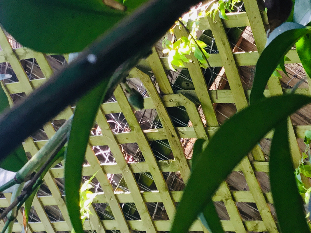 01FD8238-71B0-4C09-B143-8DB485113B89