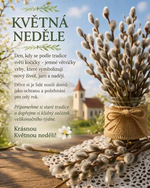 656957024-4664783883748964-9113431212932414146-n