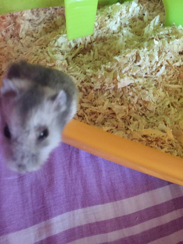 74946697-AFAE-41DB-A9F5-30C7447CB796