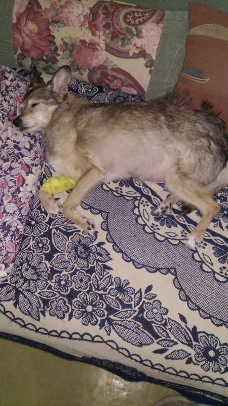 5DA4CCC6-C6E2-4760-B047-4B94BBC67A83