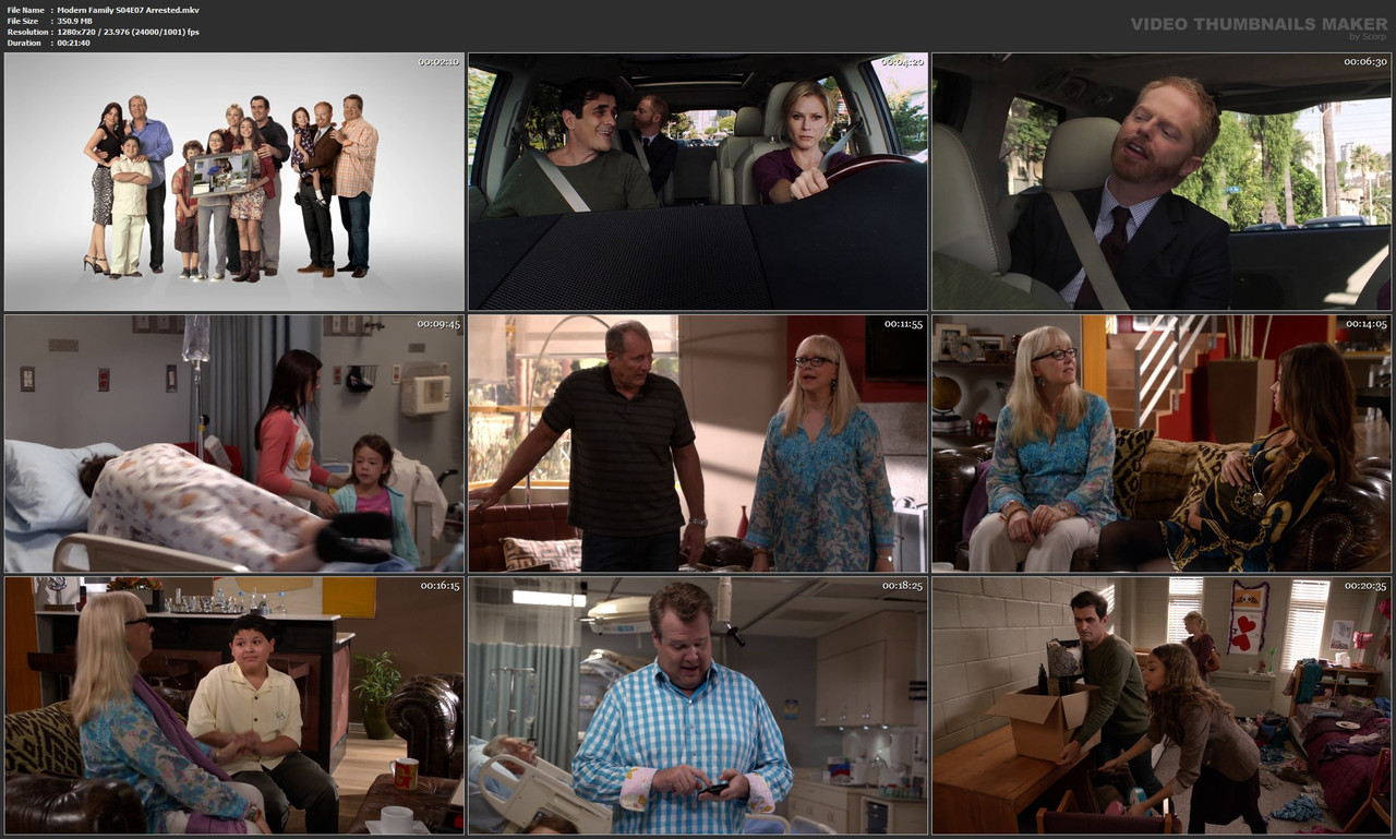 Modern Family S04E07 Arrested.mkv