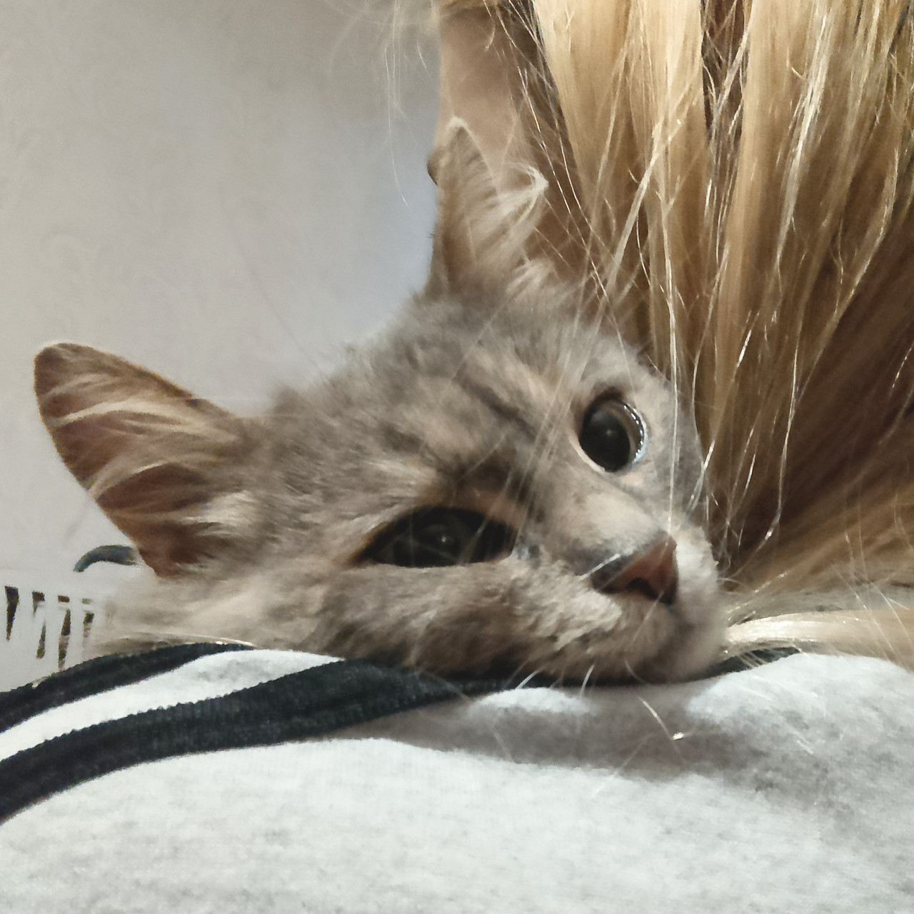 IMG 20251119 150932 2