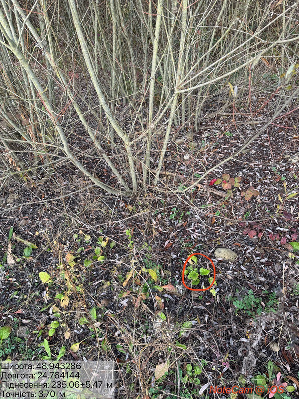 f94a4f2ec88e2f63e3e7e311be8142c0ebf0