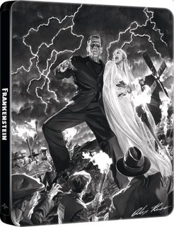 Frankenstein (1931) .mkv FullHD 1080p HEVC x265 AC3 ITA-ENG